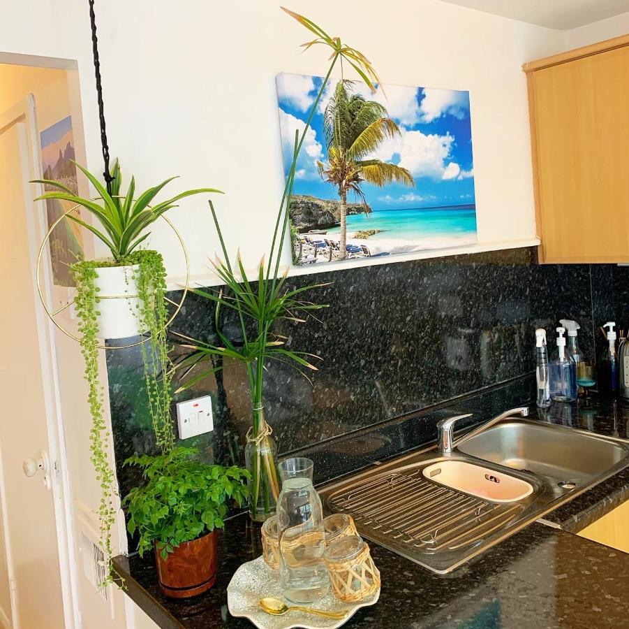 Garden Beautiful Cozy Flat , Recent Decorated. Apartment ลอนดอน ภายนอก รูปภาพ