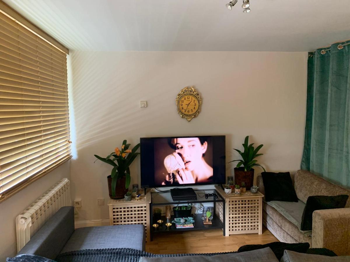 Garden Beautiful Cozy Flat , Recent Decorated. Apartment ลอนดอน ภายนอก รูปภาพ